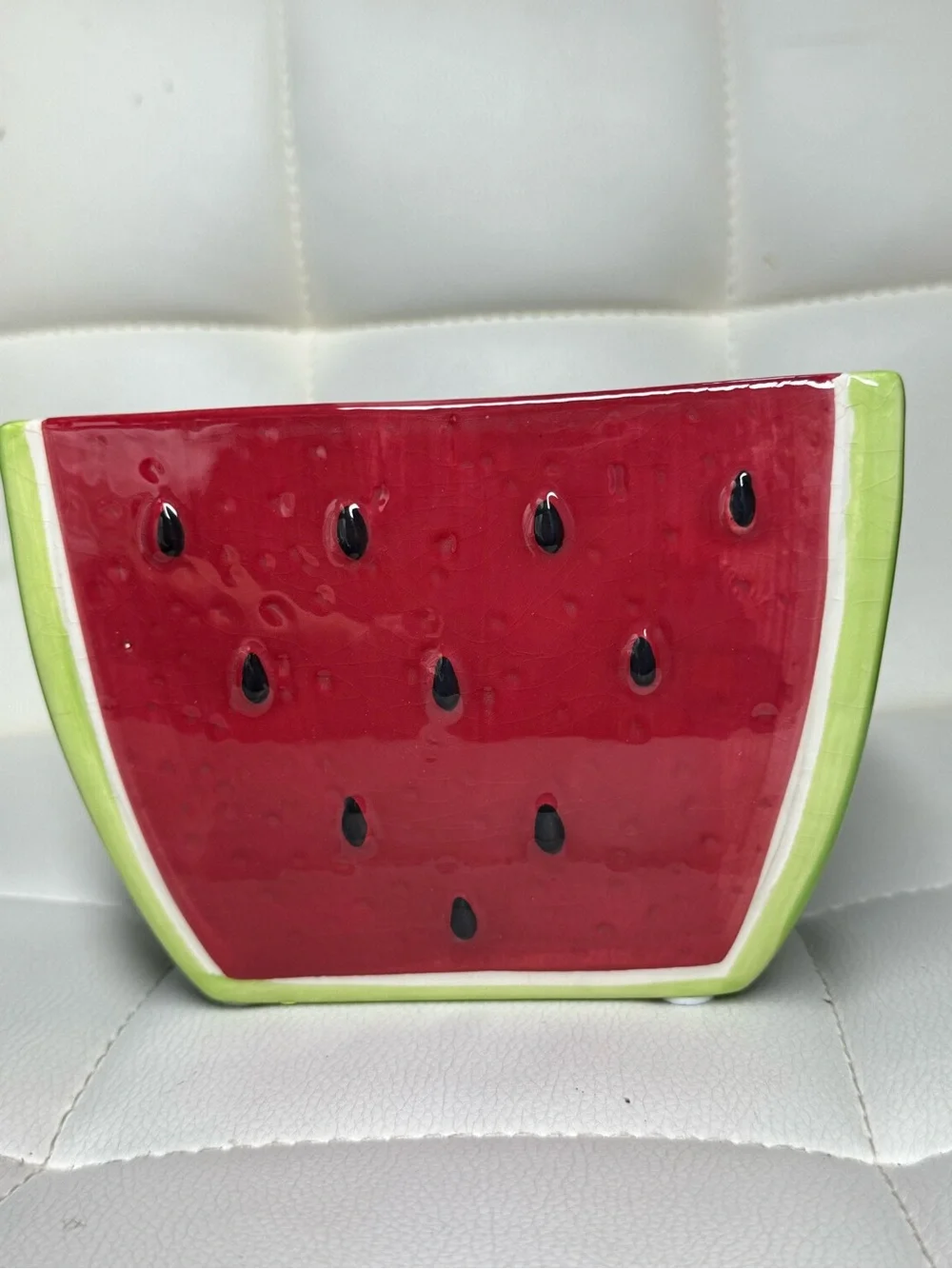 Playful Ceramic Watermelon Accent Vase - Red & Green